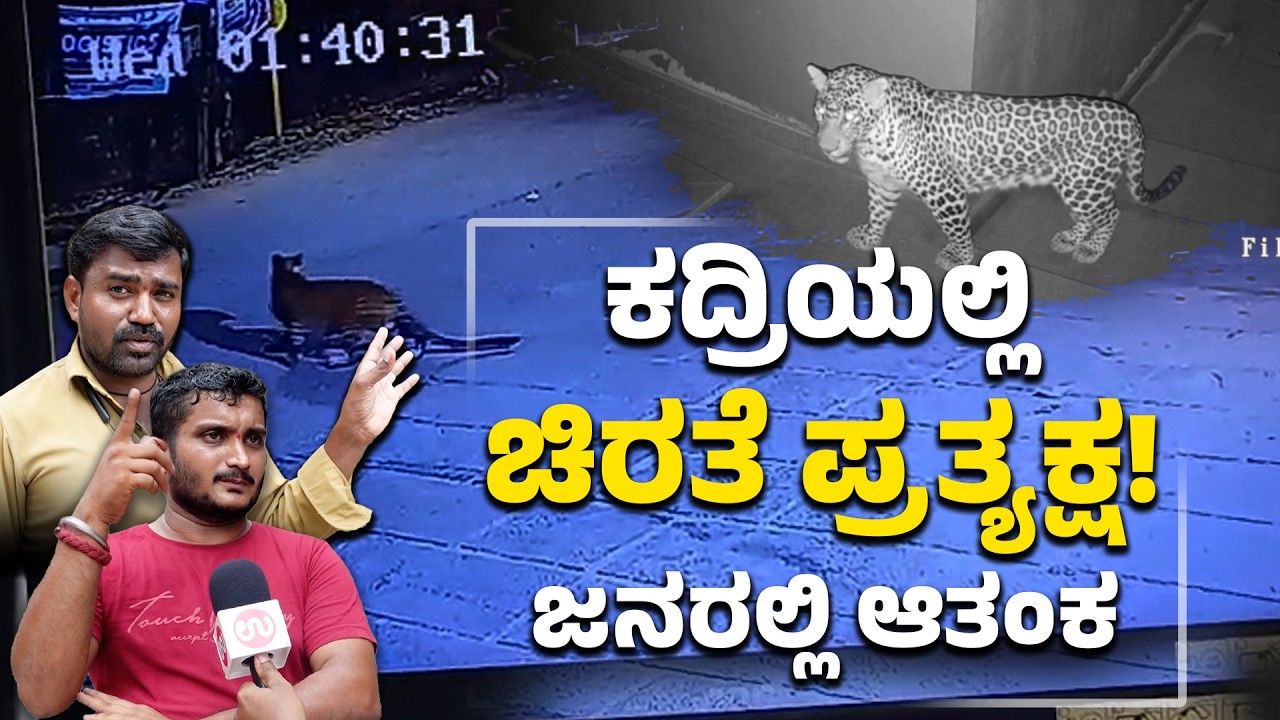 ಚಿರತೆ ಸೆರೆಗೆ ಅರಣ್ಯ ಇಲಾಖೆಯ ಕಾರ್ಯಾಚರಣೆ | Leopard Spotted in Kadri Mangaluru | Udayavani