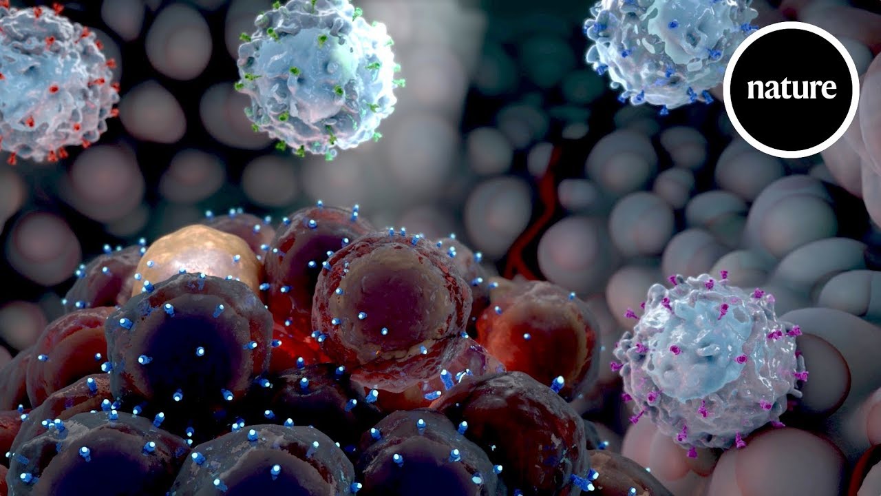 Decoding cancer immunology: Hunting hidden tumours