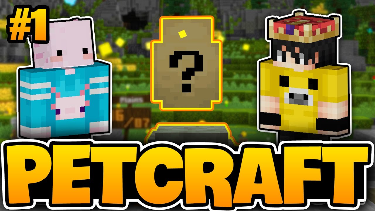 HAYVANLARLA MACERA! | Minecraft PetCraft | #1