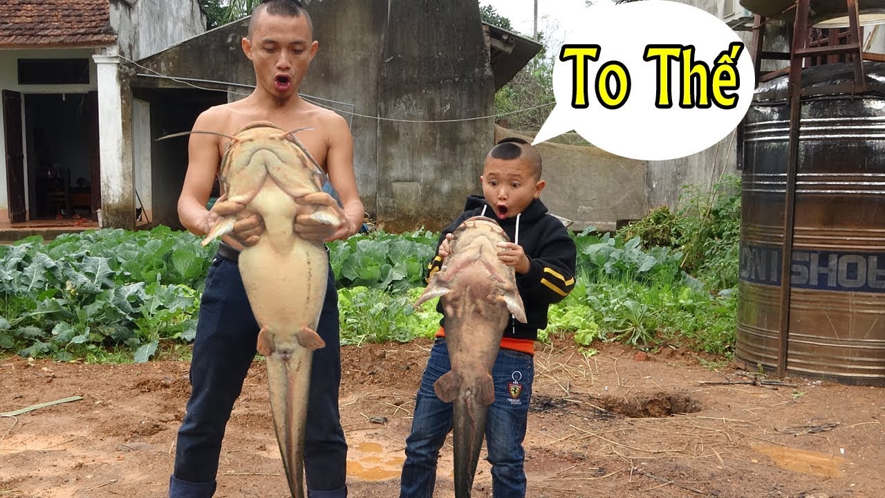 Cá Nhéo Om Giềng Mẻ Và Pha Câu Cá Có Một Không Hai Không Ai Nghĩ Đến