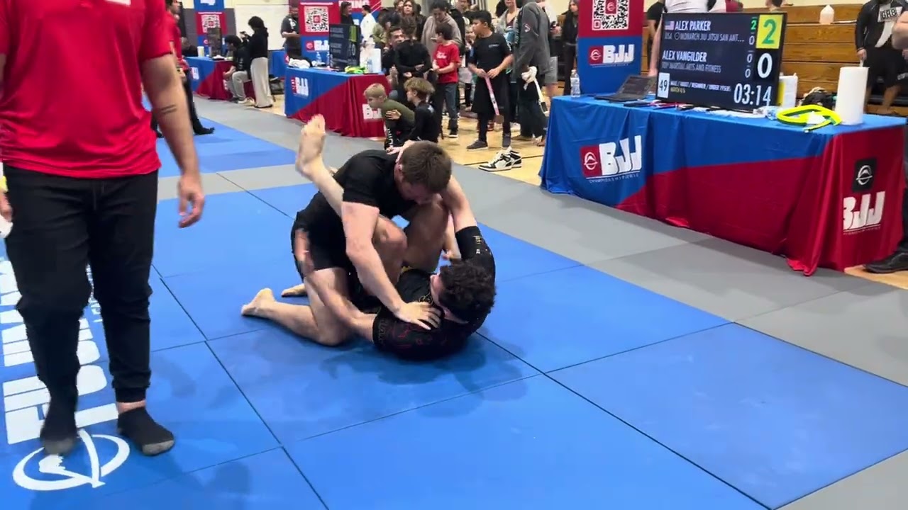 Alex v Alex