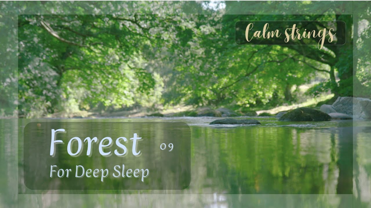 Forest Night 🌲 Calm Strings for Deep Sleep (2 Hours)