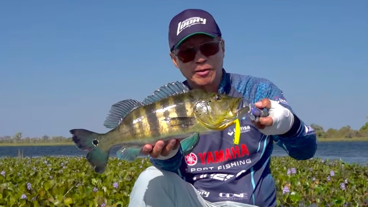 PESCARIA DE TUCUNARÉ AZUL NO PANTANAL - MS!!