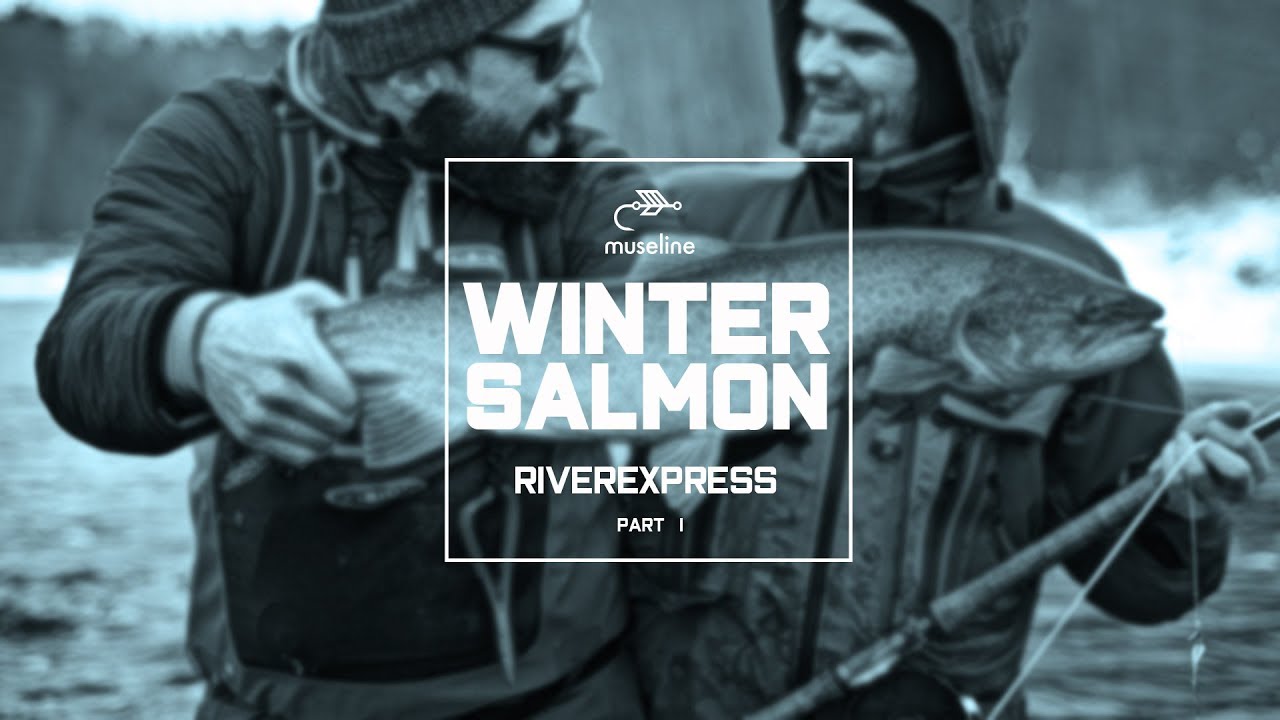 WINTER SALMON - Žieminė lašišų žūklė - Salaca