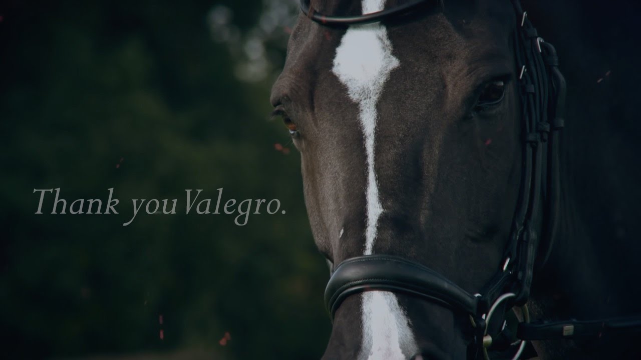 Thank You Valegro.
