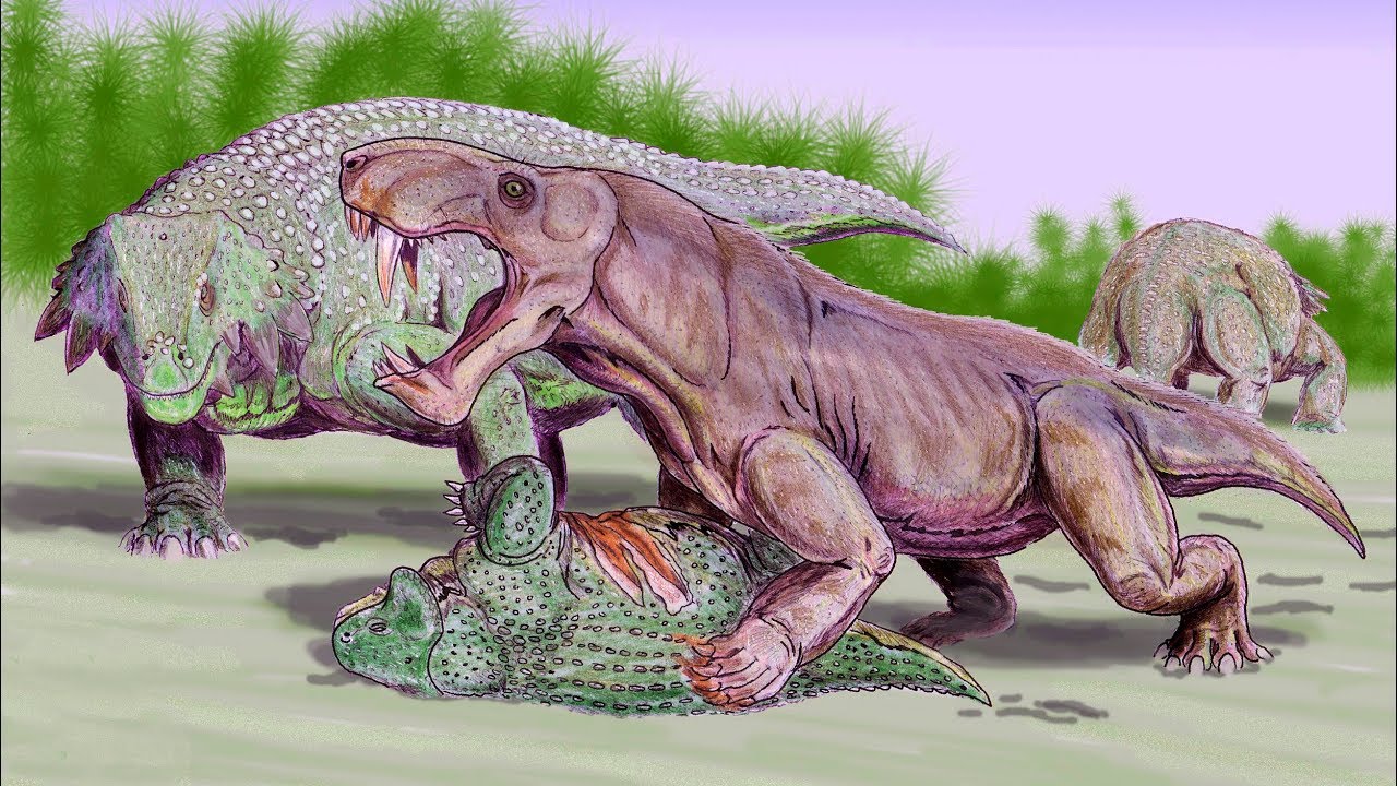 Gorgonopsy &ndash; permskie tygrysy szablastozębne