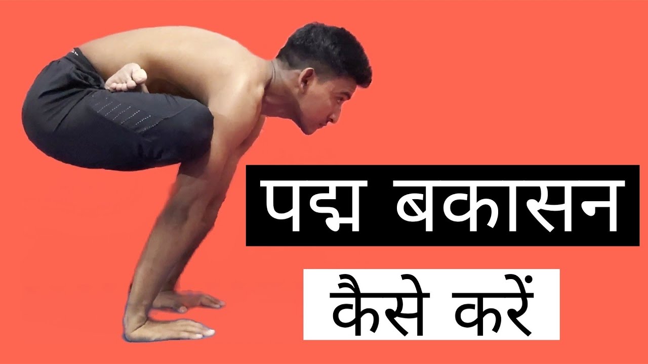 HOW TO PRACTICE PADMA BAKASANA /URDHVA KUKKUTASANA /UPWARD COCK POSE | PADMA BAKASANA FOR BEGINNERS