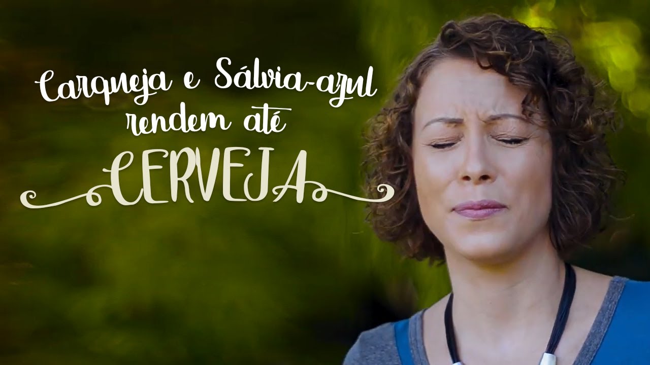 CARQUEJA e S&Aacute;LVIA-AZUL: rendem at&eacute; CERVEJA [como cultivar] #PANC #PANCS