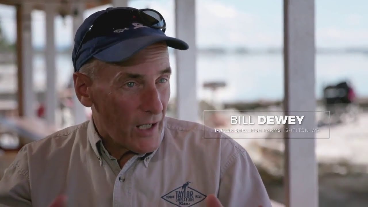Ocean acidification is putting the Pacific Northwest shellfish industry in jeopardy