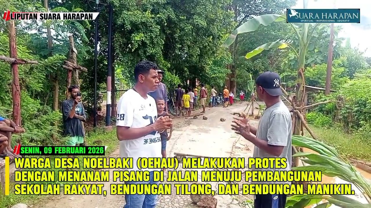 Warga Desa Noelbaki Melakukan Protes Menanam Pisang di jalan Menuju Pembangunan Sekolah Rakyat 