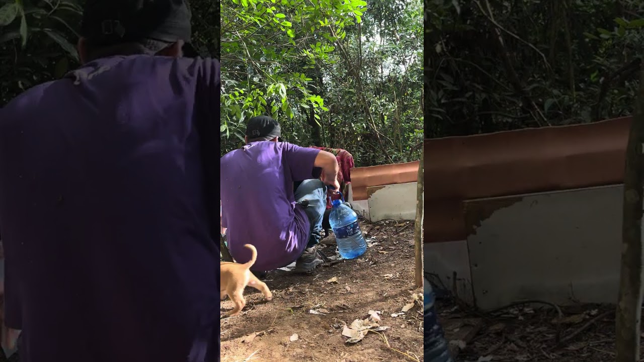 #cachorro #protetoresdeanimais 