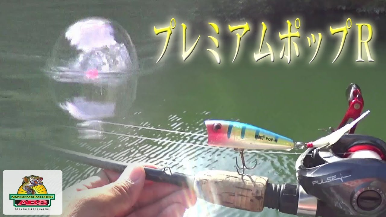 プレミアムなポップRを使ってみた。ポッパーの頂点でしょう！ABSバス釣り動画　REBEL PREMIUM POP-R