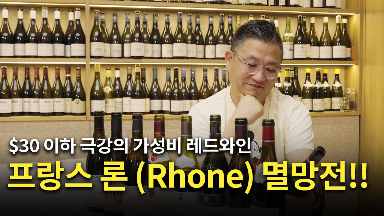 [Eng.sub] 3~4만원대 극강의 가성비 레드와인 꼬뜨 뒤 론 (Cotes du Rhone) 멸망전