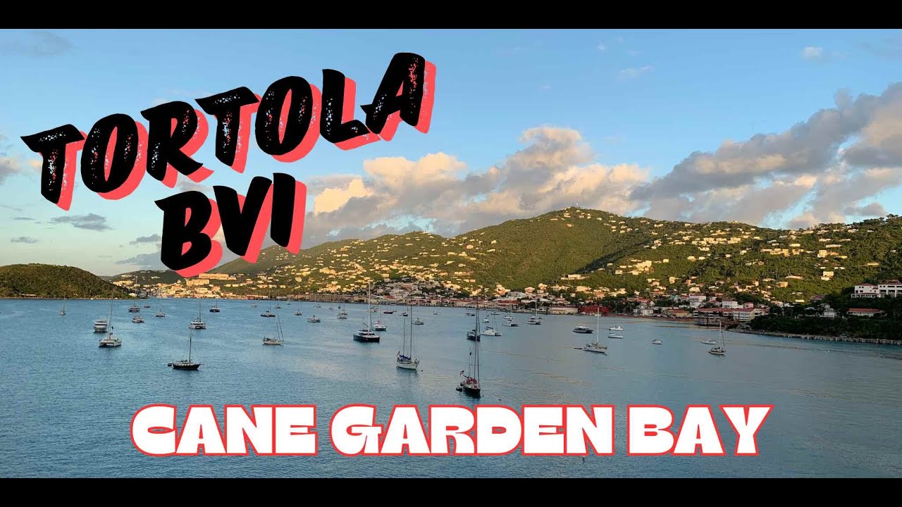 Norwegian Viva| Tortola BVI | Cane Garden Bay, Onda by Scarpetta, Hudson's, Southern Caribbean