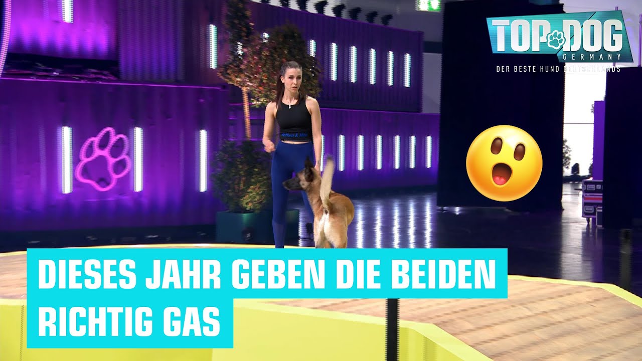 Nach Staffel 1 wollen sie's jetzt wissen: Athena und Moe sind zur&uuml;ck 🔥  | Top Dog Germany 2022