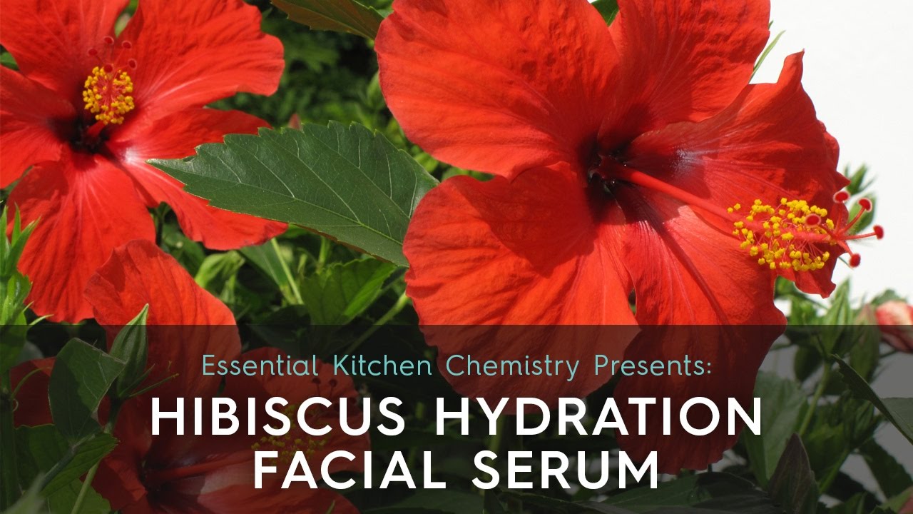 Hibiscus Hydration Facial Serum