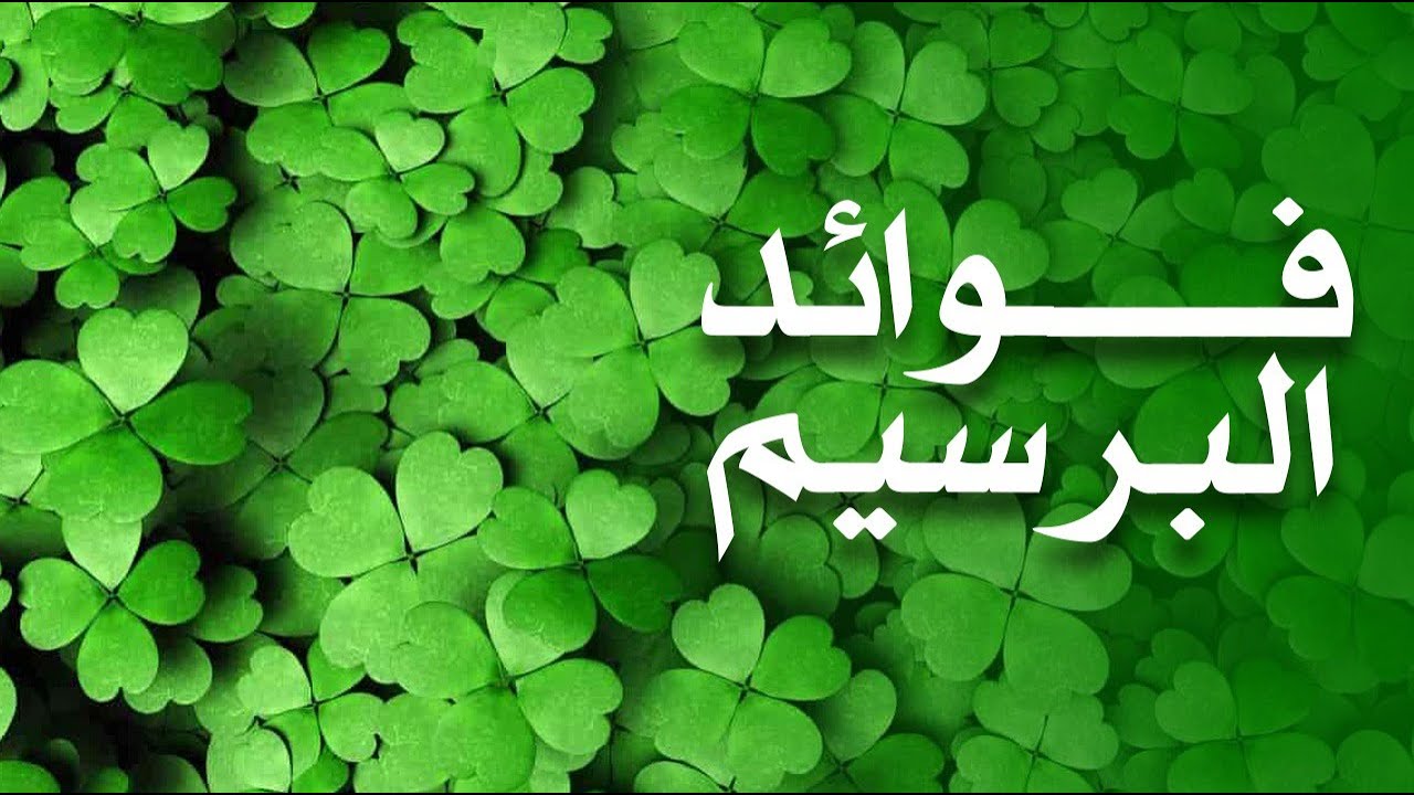 ما هي فوائد البرسيم ؟