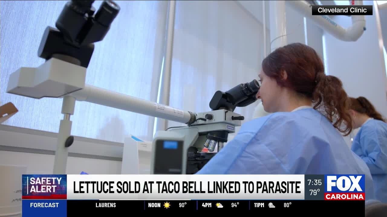 Салат из Taco Bell связали со случаями циклоспороза