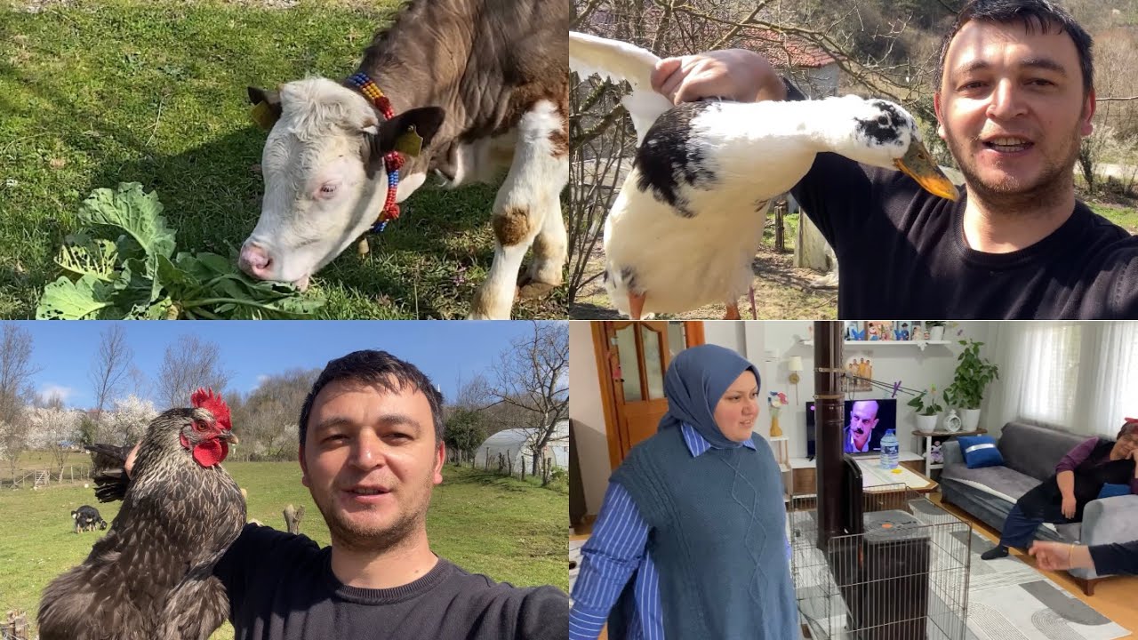 İFTARA DAVETLİYİZ~TAVUK VERDİK ÖRDEK ALDIK~KÖYDE NELER YAPIYORUZ