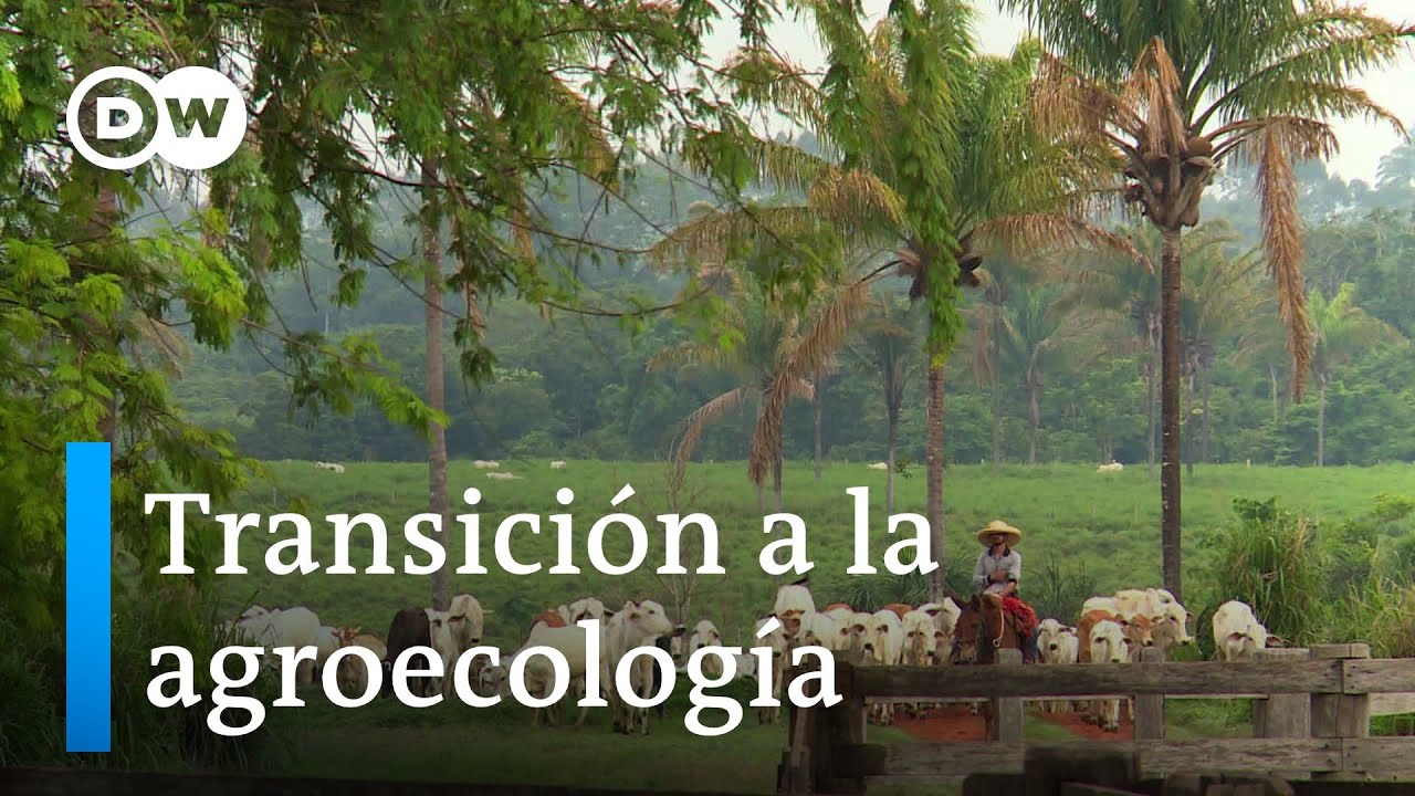 El cambio de paradigma. Programa completo