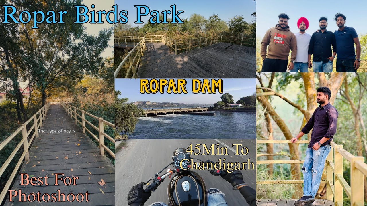 Bird Watch Centre Ropar|Ropar Head & Ropar Dam|Best Food in Rupnagar|Moto Vlogging  DJI ActionCamera