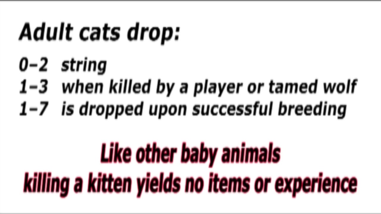 MINECRAFT Tutorial | Spawning CATS | Java & Bedrock Edition | Rosey MineBlox