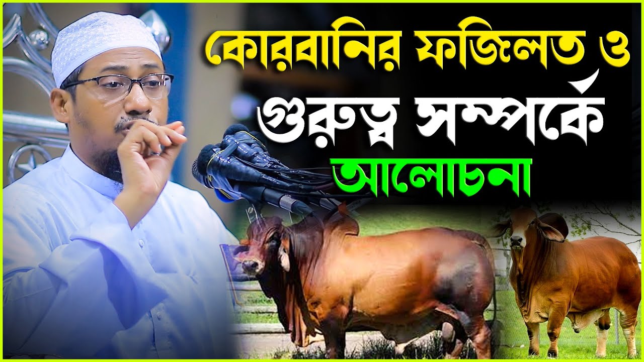 কোরবানির ফজিলত ও গুরুত্ব সম্পর্কে আলোচনা | anisur rahman ashrafi | আনিসুর রহমান আশরাফী