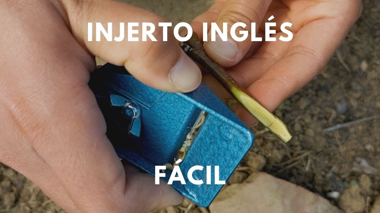 Injerto inglés más fácil con cepillo de carpintero
