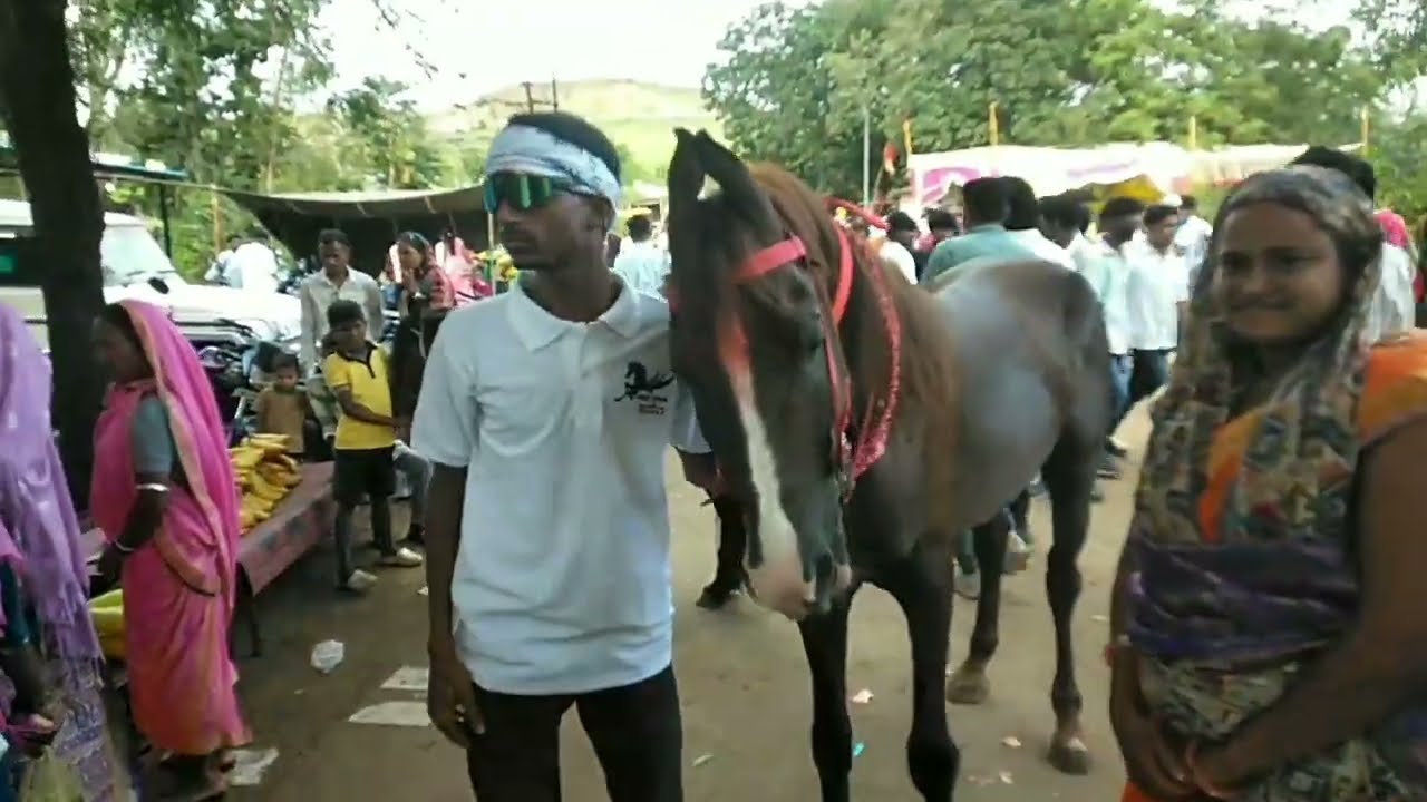 Nandurbar|| KATHI RAJVADA DASRA 🐎 race Full Video 