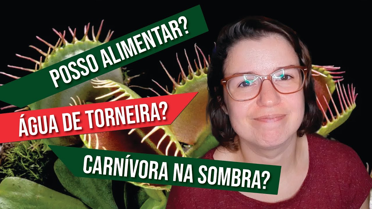 AS MAIORES DÚVIDAS DE UM INICIANTE | PLANTAS CARNÍVORAS