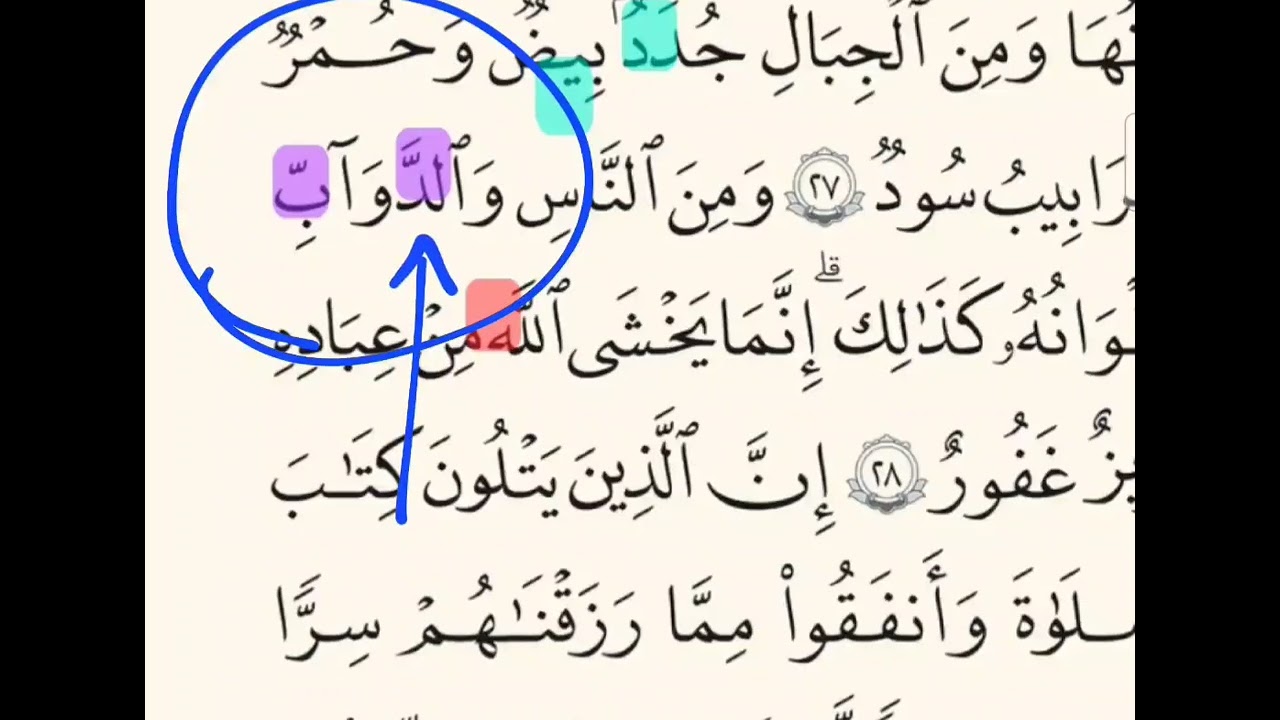 🔻دقيقة للتجويد🔻- سورة فاطر - الصفحة ٤٣٧ - جدَدٌ بيض- والدّوابّ- إنما يخشى اللهُ❌❌❌