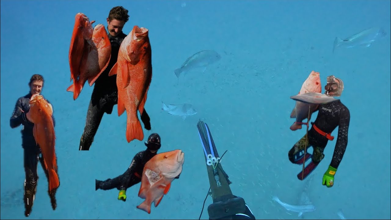 Spearfishing Monster Reds Down Deep 