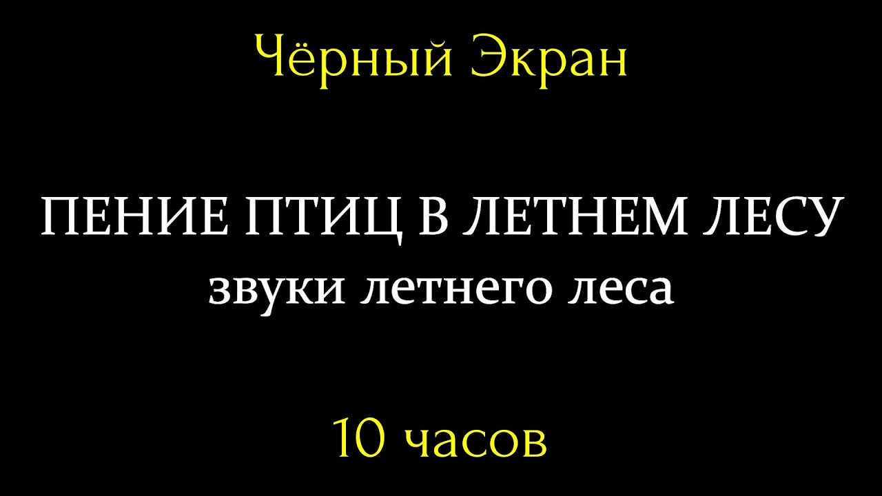 Пение птиц в летнем лесу.Звуки летнего леса,плеск ручья. Чёрный Экран. Звуки летней природы для сна.