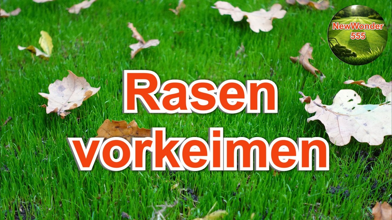 Rasen vorkeimen | Rasen säen so einfach | Rasen Problemzonen ausbessern – NewWonder555