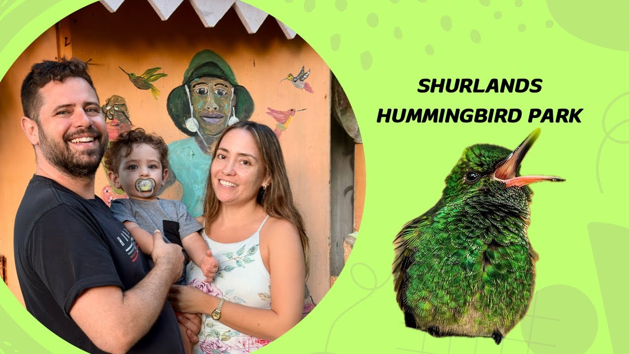 Shurland's Hummingbird Nature Park in Tobago || a beautiful day out with family || food, birds & fun