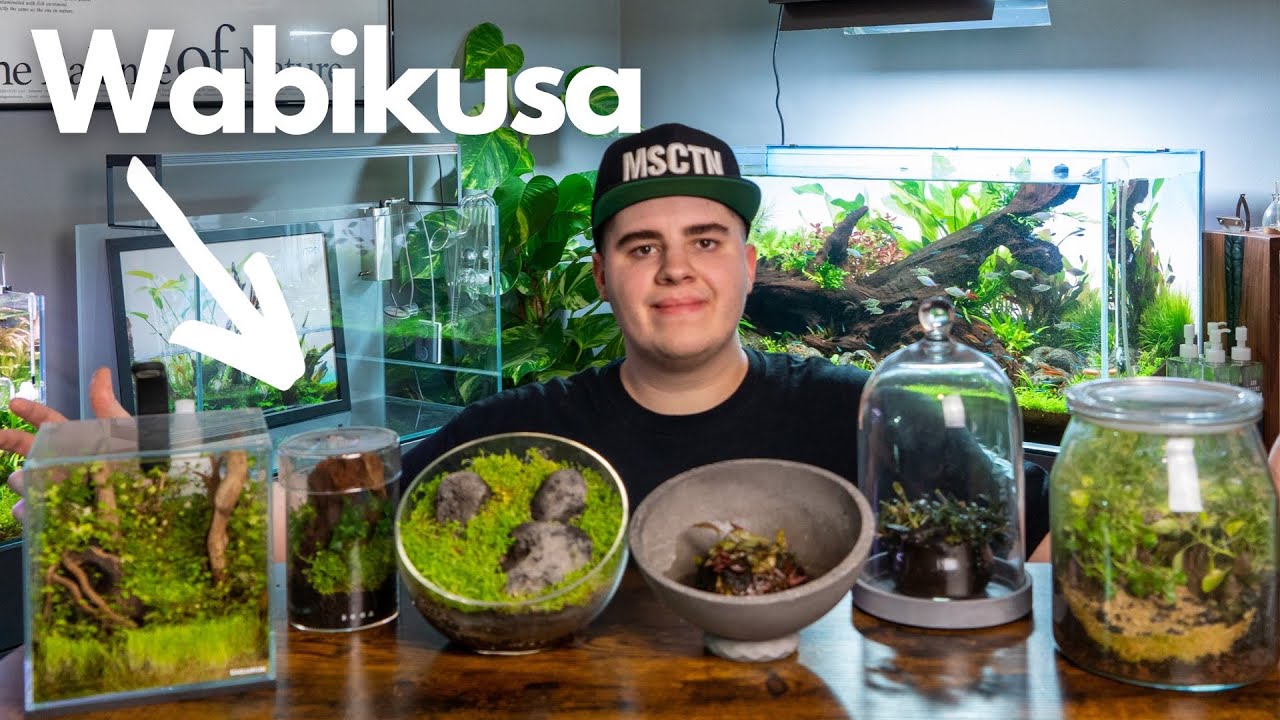WABIKUSA Tutorial! Alle meine Wabikusa!