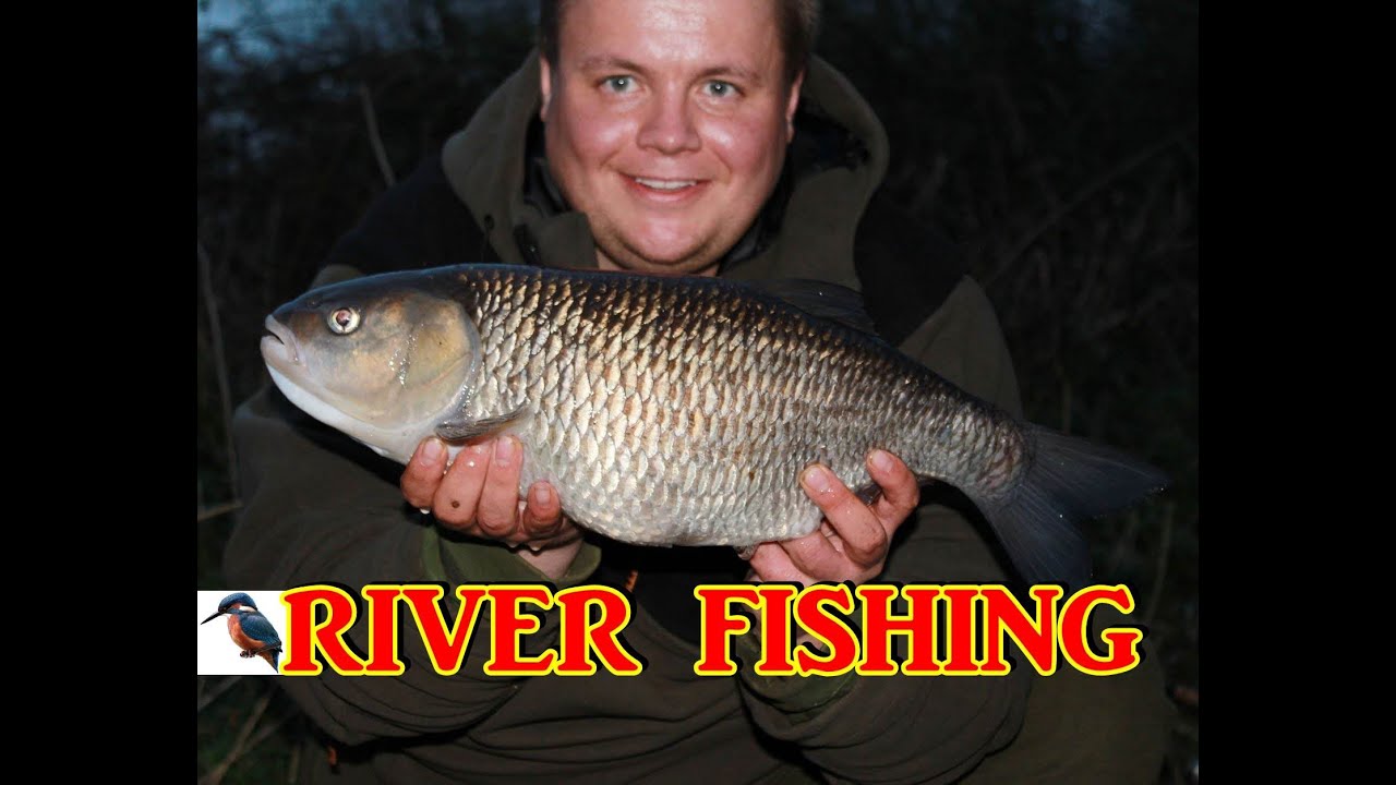 Chub fishing - roving the river in search of Chevin (video 19)