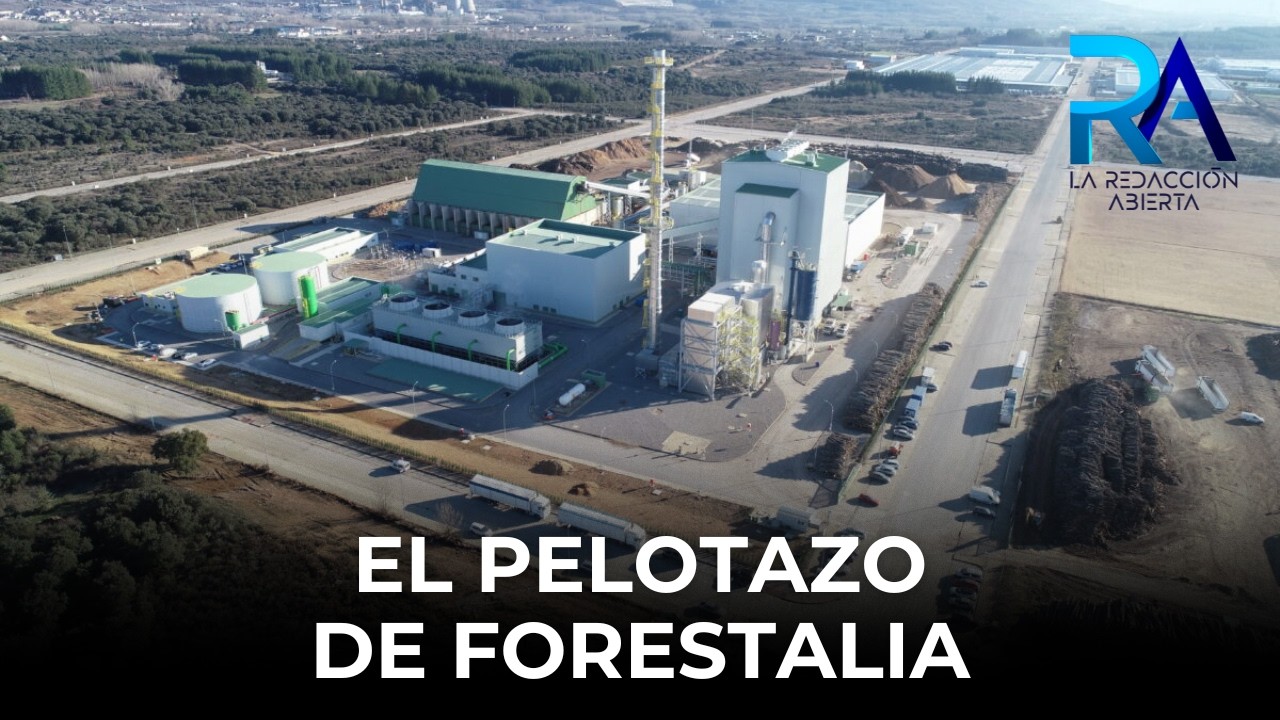 Un robo a manos llenas: Forestalia vendió por 500 millones una licencia que le concedió el Gobierno