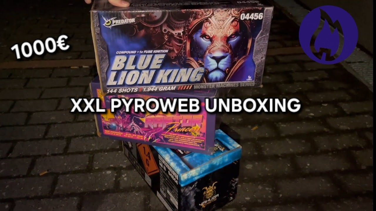 XXL PYROWEB FEUERWERK UNBOXING!🎆 |1000€ FEUERWERK AUSPACKEN🔥