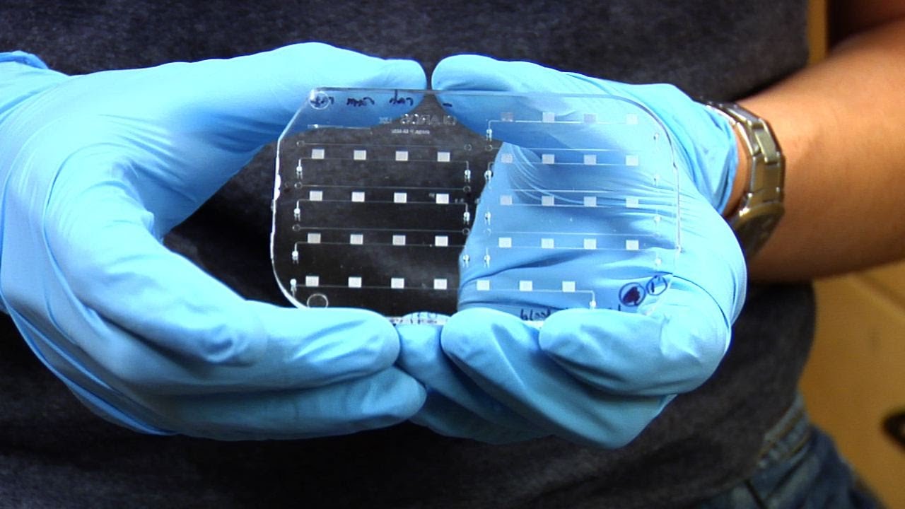 Miniature lab can diagnose disease in the field - by Nature Video