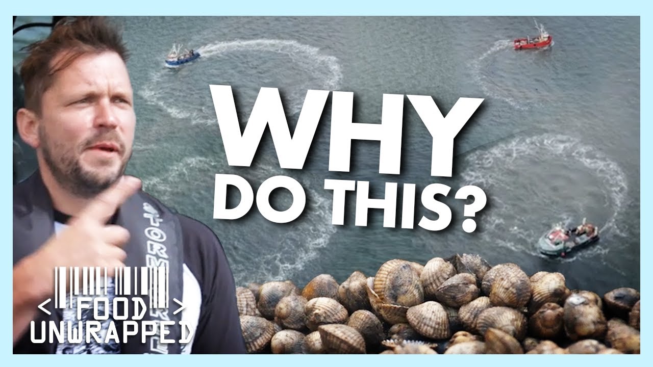 Why Does Catching Cockles Require These Boats to Do Donuts? | Food Unwrapped