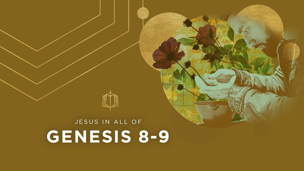 Genesis 8-9 | The Rainbow | Bible Study