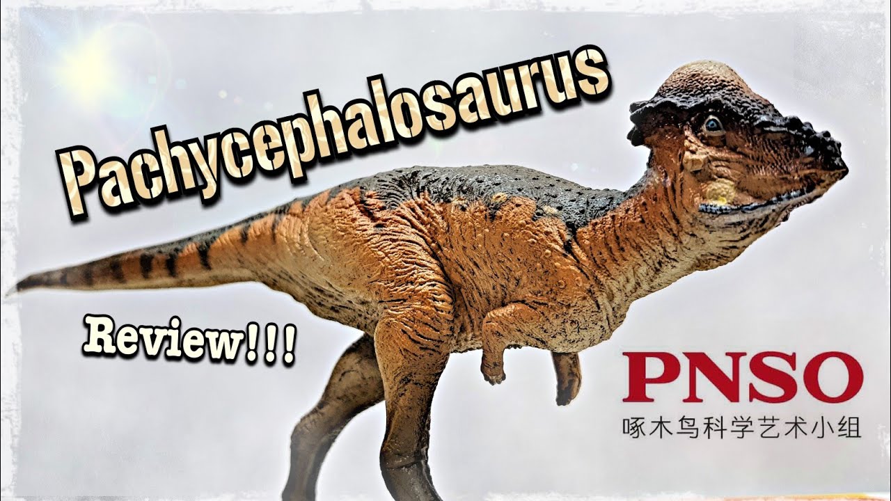 2021 PNSO Pachycephalosaurus Review!!! Beautiful!!!