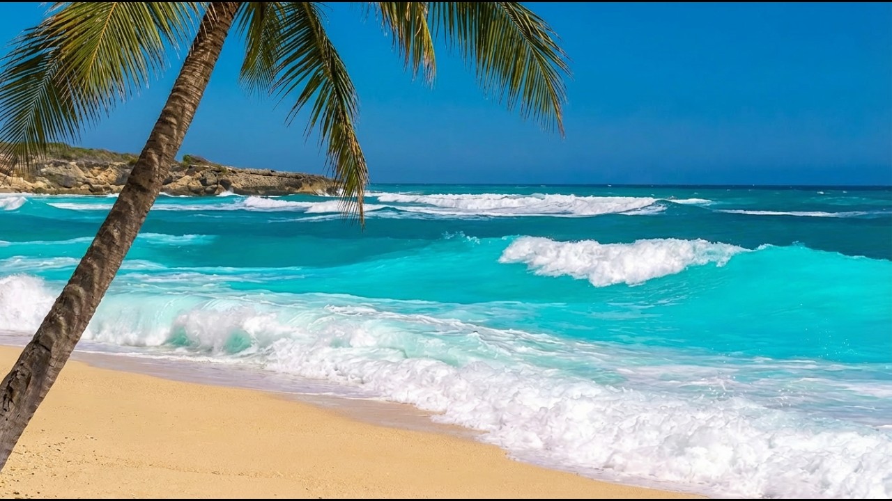 Where Time Slows Down 🌊 Tropical Ocean Waves for Deep Relaxation