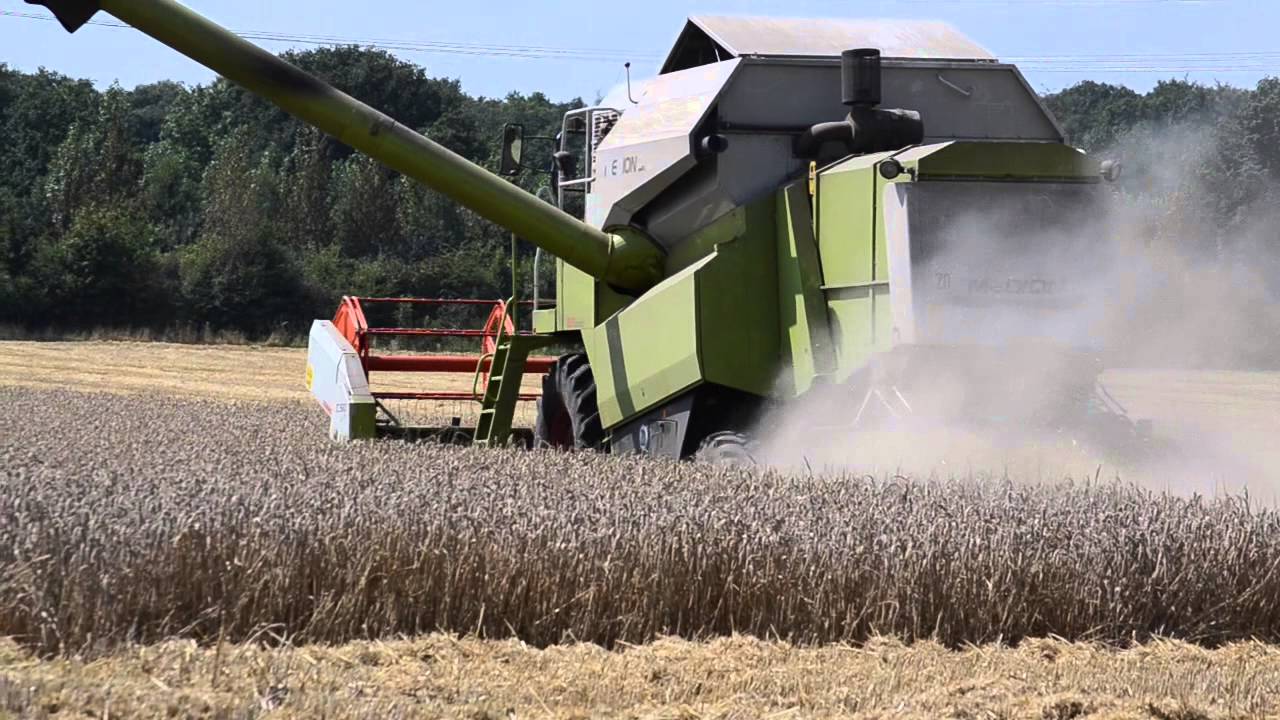 Weizen dreschen 2014 mit Claas Medion 310 teil 2