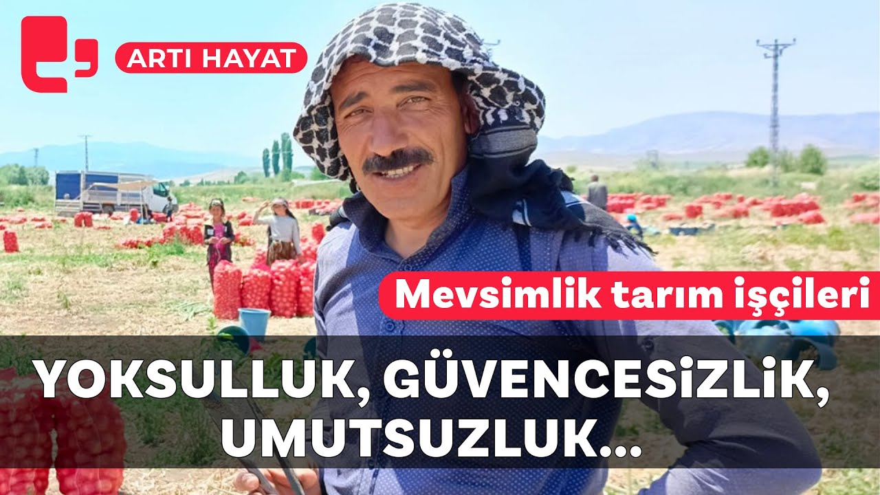 Mevsimlik tarım işçileri: Yoksulluk, güvencesizlik, umutsuzluk...