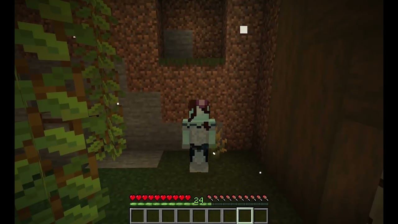 Good Vibes SMP Disclaimer