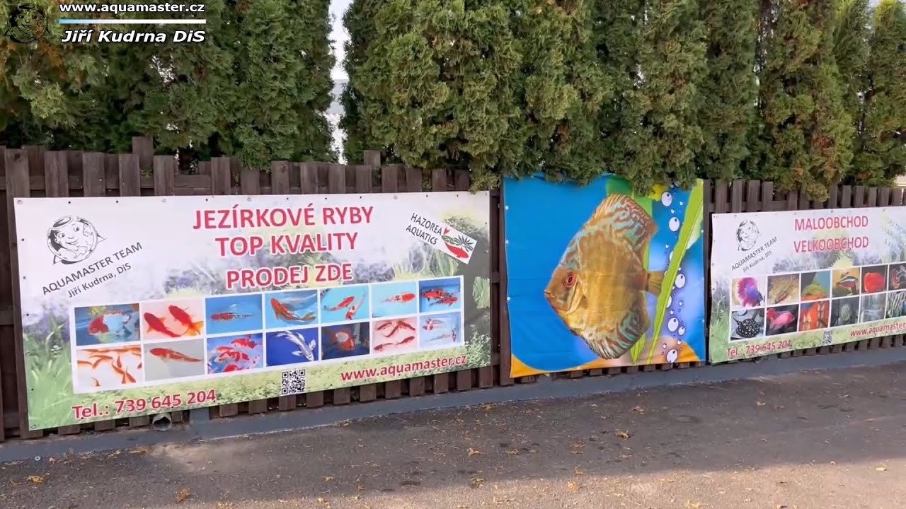 AQUAMASTER PROMO 2024