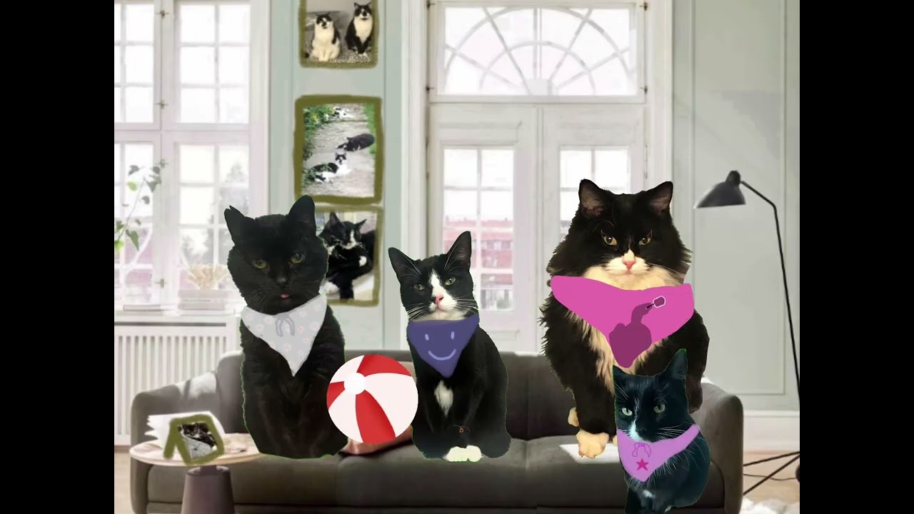 Glitter! |The Fluffs| 
