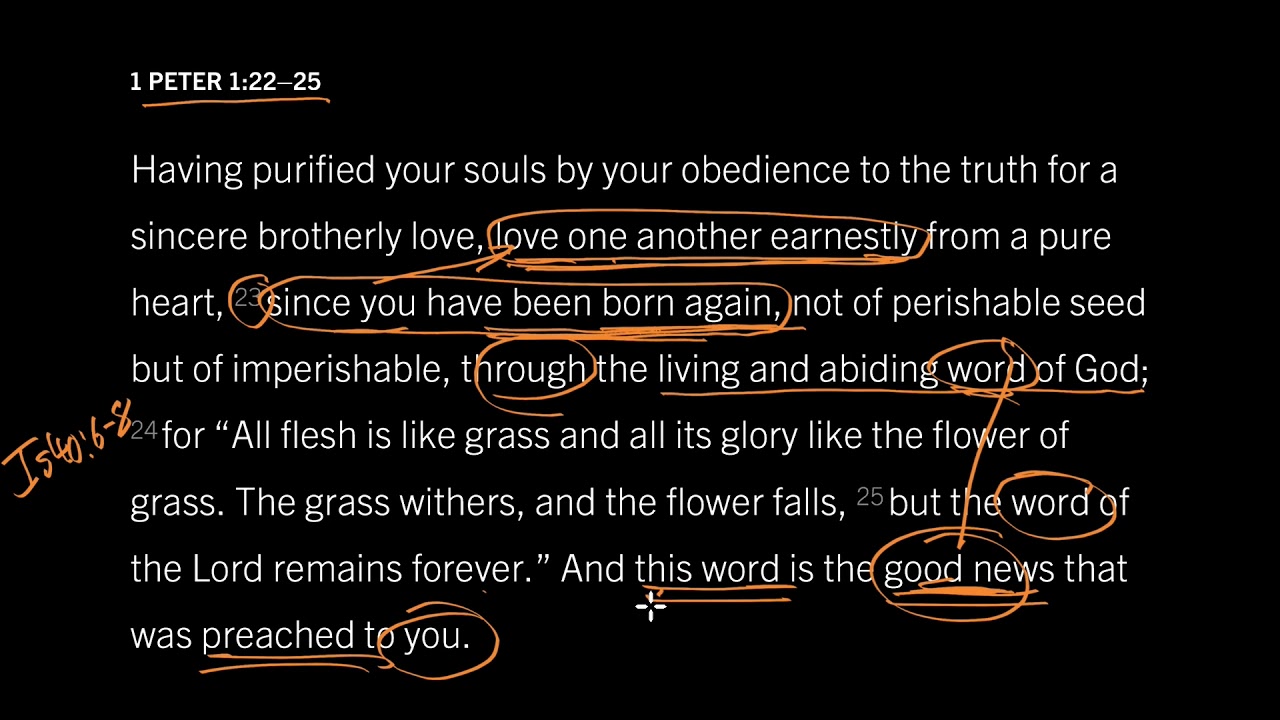We Cannot Love Without Hope: 1 Peter 1:22–25, Part 2
